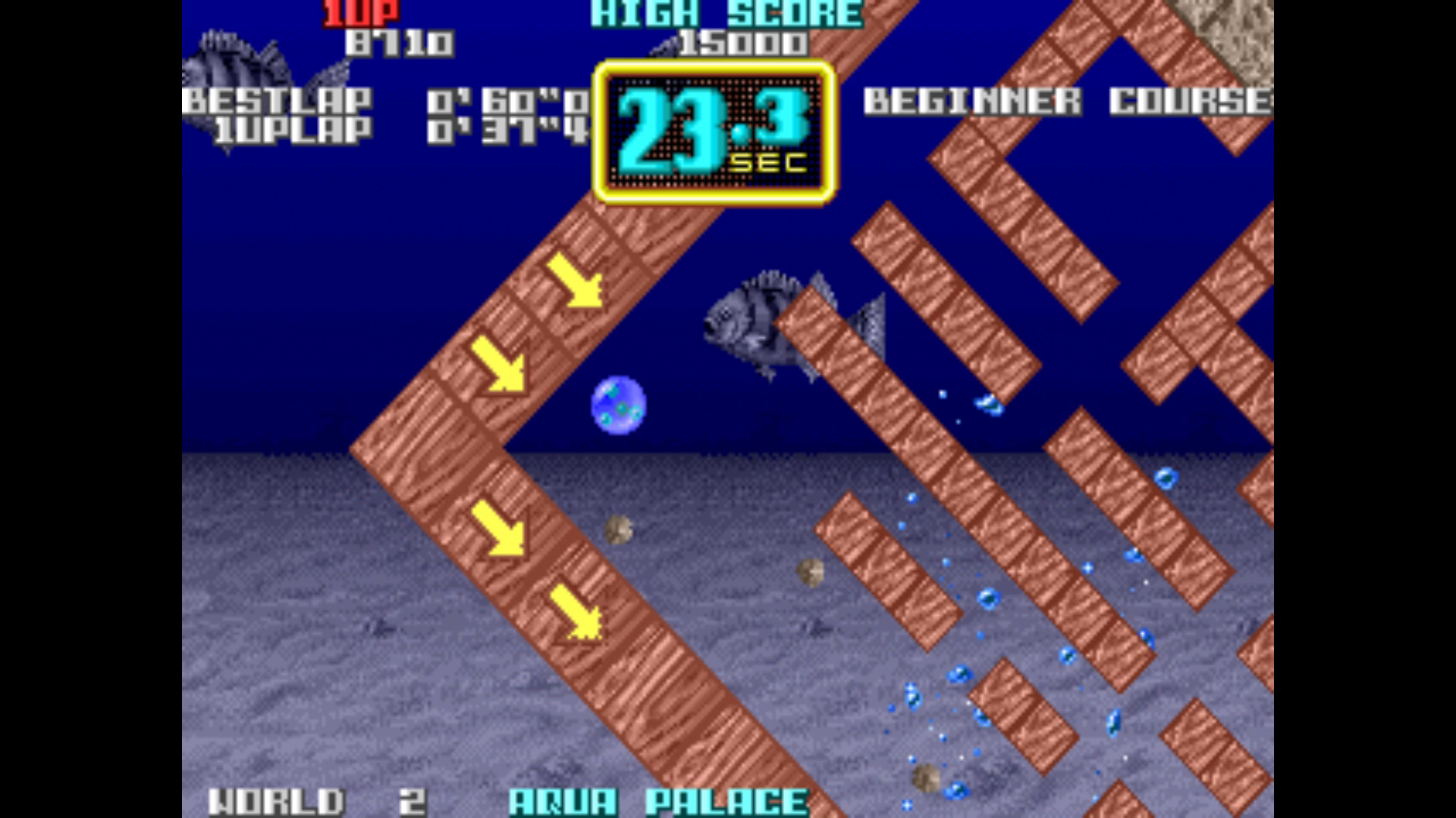 screenshot from the arcade game cameltry
